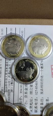 3只小猪猪
