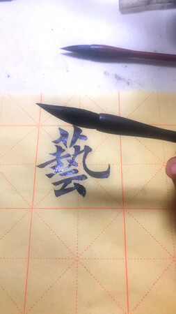 可以吧，有点大，虽然是小号的。比较软，柔顺
