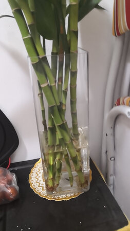 适用场景：质量很好，性价比很高！
美观程度：质量很好，性价比很高！