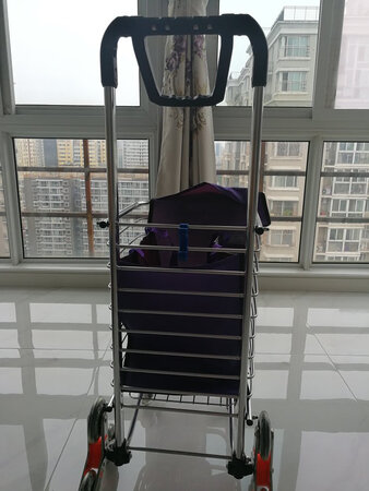 买了这个小车 购物很方便了 装好多东西的 还可以拉大件的货物 一车两用 还可以当座椅一车三用了