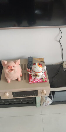 招财猫?，发财猪?。可爱? ??，萌萌哒！