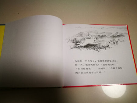 印刷质量挺好的，物流很快，简单几幅图几句话讲明白一个道理，能引发孩子的思考挺好