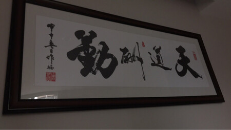 物流包装仔细，无磕碰无磨损，做工精细，字迹清晰，安装简单，很有档次。