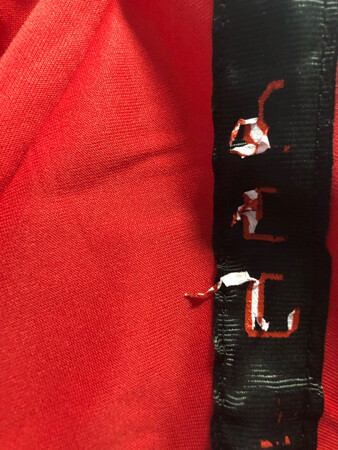 红色衣服掉色严重，袖子两侧标志一碰就掉，如同贴纸一般。领口部位线团参差不齐。属实，便宜无质量保证
