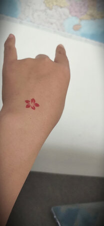 簪子不错，谢谢送的贴花?好看?