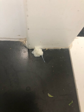 自从家里发现了一只小强，家里人都慌兮兮的，去药店人家说不卖这个，还好有万能的网店。这个药剂处理起来很方便，针筒的，唯一的遗憾就是量有点少，一支估计就一个房间的量，房间角落多了就不太够了，希望有效，反正这几天没看到过小强在我家出没了
