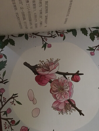这本奇幻植物园，借助于书上的APP，可以很明显的看到，就是能看到一个立体的效果，就像这个植物就在你的眼前，后面的那些巨型植物就特别有趣，非常大。跟我们跟小朋友合照的时候，那个树或者是那个魔芋花，能直接把小孩挡住那种地步，就真的是巨型植物可能达到了现实中那个那个那种巨型植物的真实的高度和面积之类的，就很有趣。