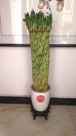 第二次购买了，很好。