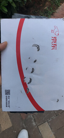 包装外观：这样的包装挤压，磨损。电池估计也有影响
