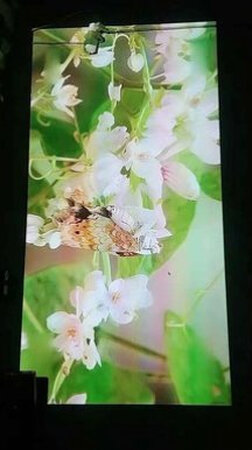 亮度够，效果不错，使用简单，再用段时间看看，目前使用都是满意的
