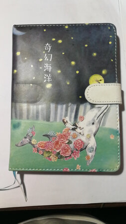 体验感不好，来的商品与购买的封面不一致。非常生气。实货与图画看的质量相差甚远，外皮向9.9包邮的感觉，不好