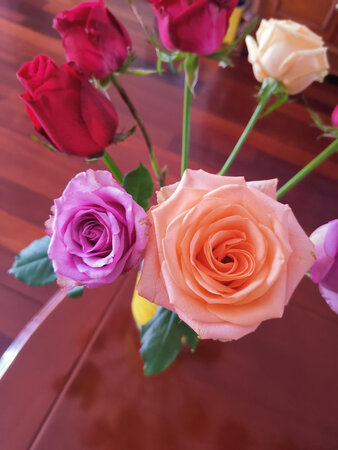 蛮好！颜色鲜艳，花头大