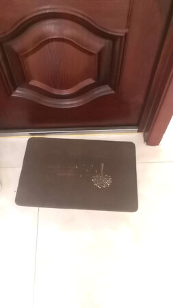 大小尺寸：门口偏小
适用场景：门口
其他特色：还好