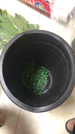 真是第一次碰到这种，东西发过来破的，客服还#的要死，还说我们怎么会发破的东西，那我是自己有病吗？自己买的自己弄破？我真是醉了，从来不写评论，这次第一次，别人买的时候还是看清楚一点的好，宝贝描述显示的低，客服服务态度低，不是没有道理的。