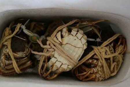 总体来说，这次购买今锦上大闸蟹感觉还是挺满意的。
1.自营物流一如既往的快，从购买到收货感觉很快，第二天就收到了货，非常赶趟！
2.礼券兑换大闸蟹也很方便：按照礼券上的使用方法，逐步操作就可以了，坐等收大闸蟹礼盒。
3.收到礼盒后，可以看到大闸蟹礼盒本身非常喜庆，打开之后感觉螃蟹都很新鲜。