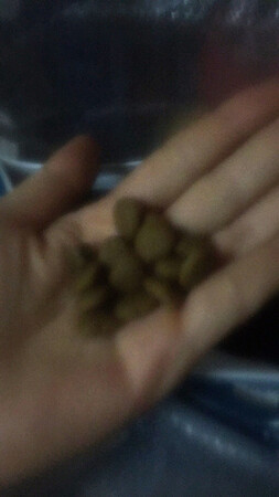 质量挺好，很满意。
