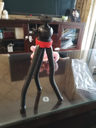 外形外观：可以多种造型变化，在不同环境下变成不同的样式。很赞的玩具