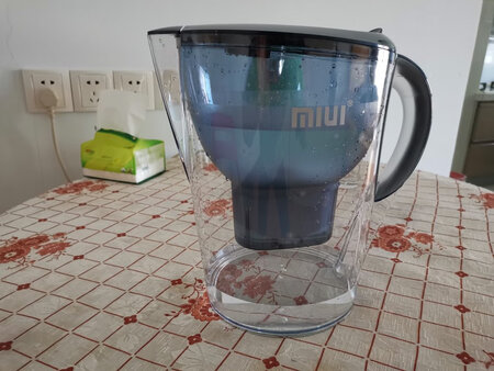 净化功能可以，过滤后水的味道和口感明显变好！价格实惠，还送了电动牙刷！