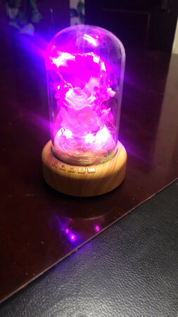 灯比较喜欢。音响的声音你就算了。看着好看就行了