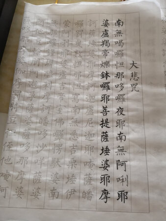 东西质量很不错，但是不是我想要的那种，我不喜欢这种照着，写的，不过东西还是挺好，物流也不慢。都给好评了，既然买了我就会坚持把它写完，肯定都会有进步的，喜欢写毛笔字，这种传统不能丢，写的人才知道写的好处。