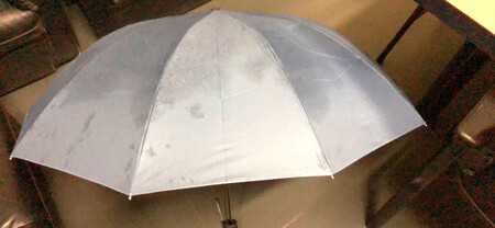 这把雨伞买的物超所值，今天下雨刚开始用，质地非常的好！