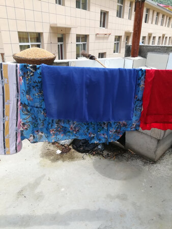 哎，不知道怎么评价这个衣服，**和图片就是俩个概念嘛，买时谨慎，懒得退的，牙箱垫儿吧，手机自带美颜了。