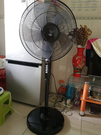 老牌子的风扇果然不错，家里大小风扇都是钻石牌的，这个16寸的静音风大，有四档可以调节，底座也厚实，值得购买，希望可以用很久