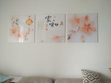 装上很长一段时间了，总体感觉还是不错的，物流速度也还是比较给力的，就是装起来有些费颈，装了好久才装上，安装起来比想象中的麻烦了点，装上后整体效果也感觉比预想的差那么点点味道，说不上什么问题，品质到也还不错，希望商家能再接再励，生产岀质量效果更好的产品！！