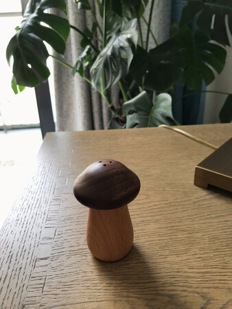 这也太可爱了吧，这个蘑菇造型，圆润，萌萌哒！就算不是牙签盒，作为一个装饰品也是蛮好看的。做工非常好，值这个价钱。买回家我立马把老爸在超市买的几块钱的塑料牙签盒淘汰了?准备在初心店里看看其他产品。但是不知道为什么客服一直没通过我的~申请。