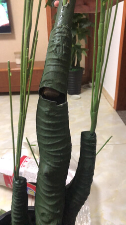 真是第一次碰到这种，东西发过来破的，客服还#的要死，还说我们怎么会发破的东西，那我是自己有病吗？自己买的自己弄破？我真是醉了，从来不写评论，这次第一次，别人买的时候还是看清楚一点的好，宝贝描述显示的低，客服服务态度低，不是没有道理的。