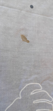 极其差！！！买来没有包装还有血渍！！！这是恶心谁呢？#差劲的玩意！