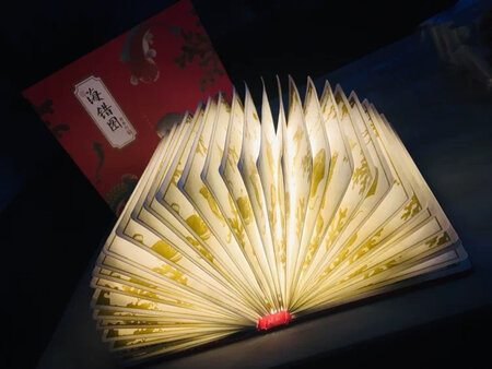 物流一如既往的好。双十一最优价格。主要是故宫IP，很漂亮。