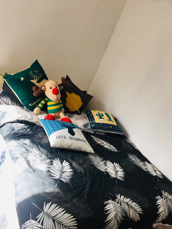 商品质量：很厚
配送服务：快递小哥很给力，大冷天挂着风，刚下过雨，送的很快，一点也没弄脏。
舒适程度：很厚实，偏硬，但是我喜欢硬一点的，很舒服
其他特色：十分
