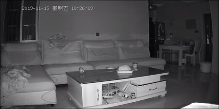 摄像头真心不错，清晰度很高，晚上也不错，连接速度也很快，买东西就得买品牌的，京东物流给力，第二天就到了。