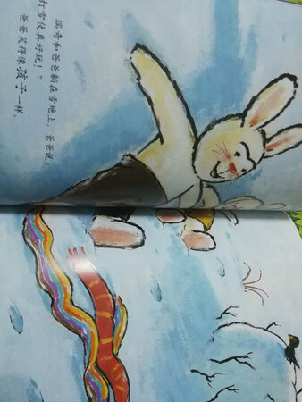 很喜欢瑞奇这只兔子，故事很有意义很温暖，画风也很符合我的审美，愿意给孩子讲这个故事。这套书慢慢一本一本就快买齐了。京东自有的快递送货一直很快，今年的活动没有去年的搞得多，不过比书店划算，希望能买到更多好书陪伴孩子成长。
