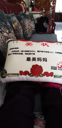 母亲节给妈妈买了一个，妈妈说不错，让我自己也买一个，真的很不错，物流快，主要是产品物美价廉，买回来就每天都用，觉得肩颈按摩很舒服，美中不足就是不能拆洗