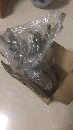 不行，这个一定要退货