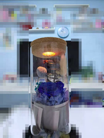 速度快 花也很好看 整体满意 五星好评