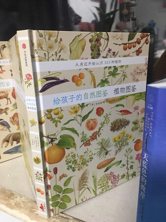 书孩子很喜欢，京东购物方便实惠放心快捷