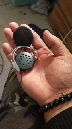 耳棉总掉
