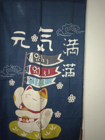 很好看，哈哈哈，是我想象中的样子，质量也很好，很厚实，是麻料的，很有分量感，有需要还会再买的