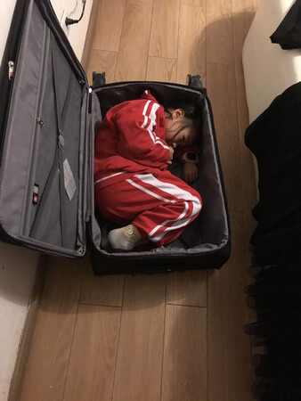 哈哈哈，箱子确实大，质量也可以，刚好赶到第二天出差用，不错?