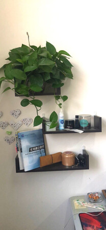 收到宝贝之后就迫不及待的打开了，整体做工质量非常不错，安装也非常简洁，商家还多附赠了几个隐形钉，只需要用螺丝刀把隐形钉安装在宝贝上，按照店家给的安装说明，就能很快的把宝贝拼装好，再用锤子钉在墙上就可以了。ps：友情提示，大家上上墙的时候最好是先把钉子钉在墙上，找好位置之后再上螺丝，这样容易找平。