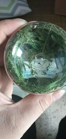 茶叶沫？？