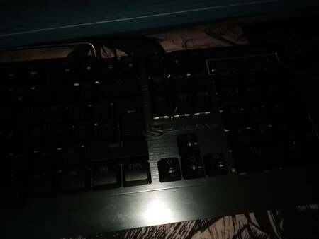 耐用度：至少现在还没坏
舒适度：很爽
操作难度：就动动手就好。。。
外观颜值：全金属。爽
响应速度：挺快的