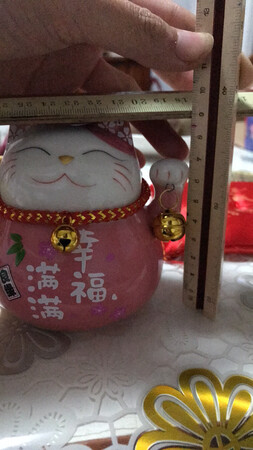 量了，只有10cm,实物严重描述不符，太坑了
