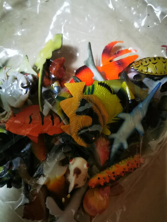 图货一致，种类齐全，小朋友喜欢。