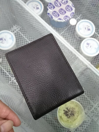 这是学校老师推荐购买的材料，感觉对孩子的帮助很大，内容特别丰富，课文中的所有的知识点都有仔细的解析，正好遇上京东自营上搞活动，立即马上又果断的购买了，特别喜欢京东自营，购物车里面已经满了，在等待双十一的到来，希望双十一会有大力度的活动，打算l屯上一年的货，各种屯����������