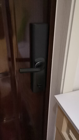 外形外观：简约，百搭。
灵敏程度：指纹识别很快，磁铁好像是不回对他有影响，属于半导体指纹识别