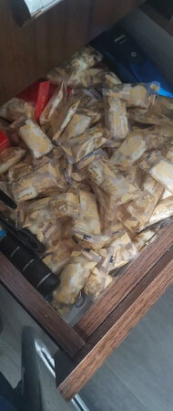 好好好好好好好好好很好很好